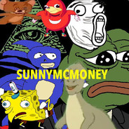 SUNNYMCMONEY