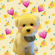 Biu来Biu去的水枪少女