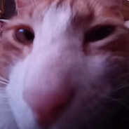coki.v2
