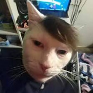 popka