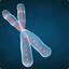 Chromosomes