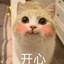 pipizhu89