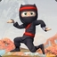 Ninja