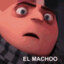 SOY TU MACHO