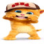 qourvus