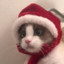 992