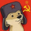 Timochka_Kun