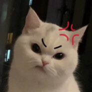 大家都叫我路路子