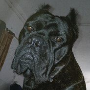 putuzz