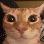 Lenďo