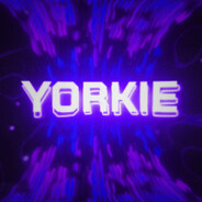 Yorkie