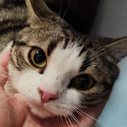 玩游戏就是为了开心