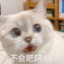 斑夏