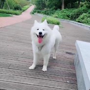 曾许人间第一流