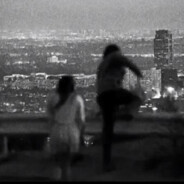 性别认知障碍同性恋抑郁症女权素食主义黑鬼