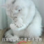 失忆