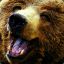 Bear&lt;3Beer