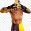 REY MYSTERIO 619