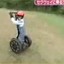 Chimpanzee Riding on a Segway