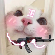 小猫咪能有什么坏心思