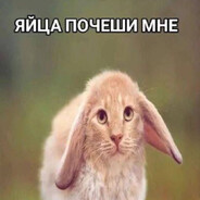 ёбнутая корова