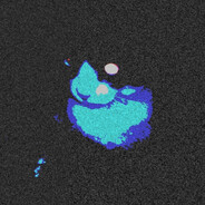 suyo
