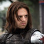 Bucky