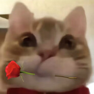 翻斗花园突击手--歪嘴猫