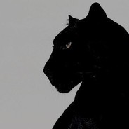 neq - steam id 76561197960459292