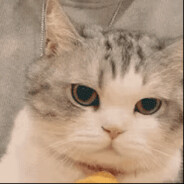 不可战胜的自然之王