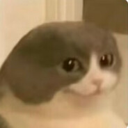 她说为了中非友谊