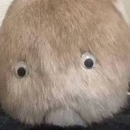 Bum