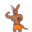 flykangaroo