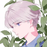 ( ꪊꪻ⊂)