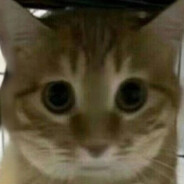 V我五十