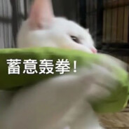 暴打樱花妹