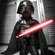 sanoj - steam id 76561197960287043