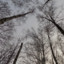 Yt_ТигрОлька_VKP