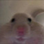 gm0gi