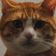 Tut5