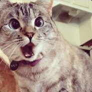 别锁头！锁我牛子！