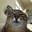Hxldway