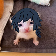 人活就是为了樱岛麻衣