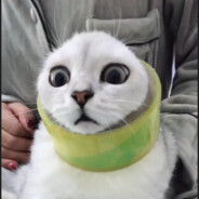 Anaheim Electronics Company·UC