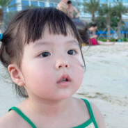 李大头只打酱油