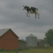 Air Moo