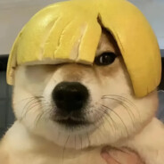 她说为了中非友谊