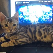 京海只有一个高启强