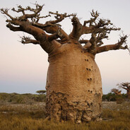 бабушку убило из