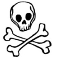 Bones